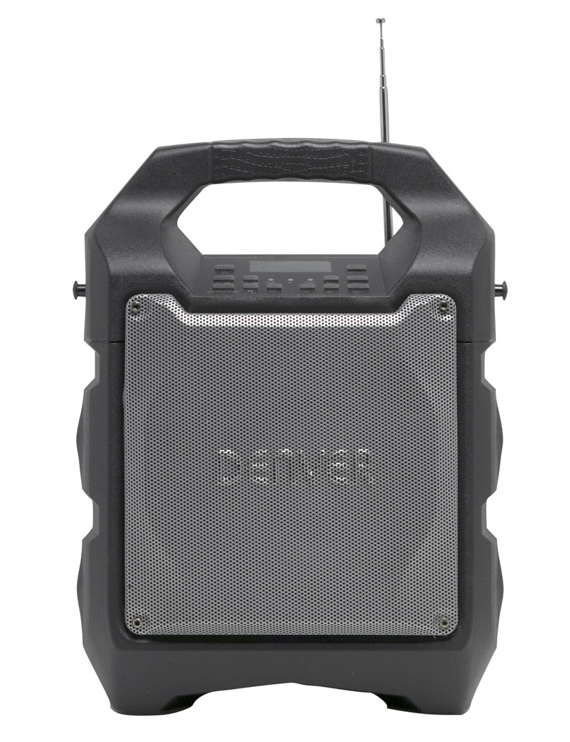 Denver TSP-203 nešiojama Bluetooth kolonėlė