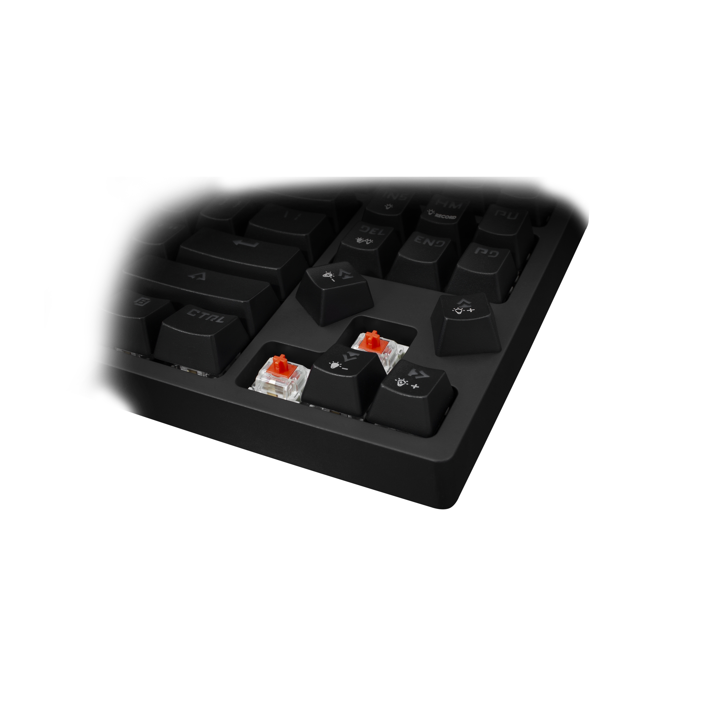 White Shark Kodachi ESL-K1 Игровая Клавиатура