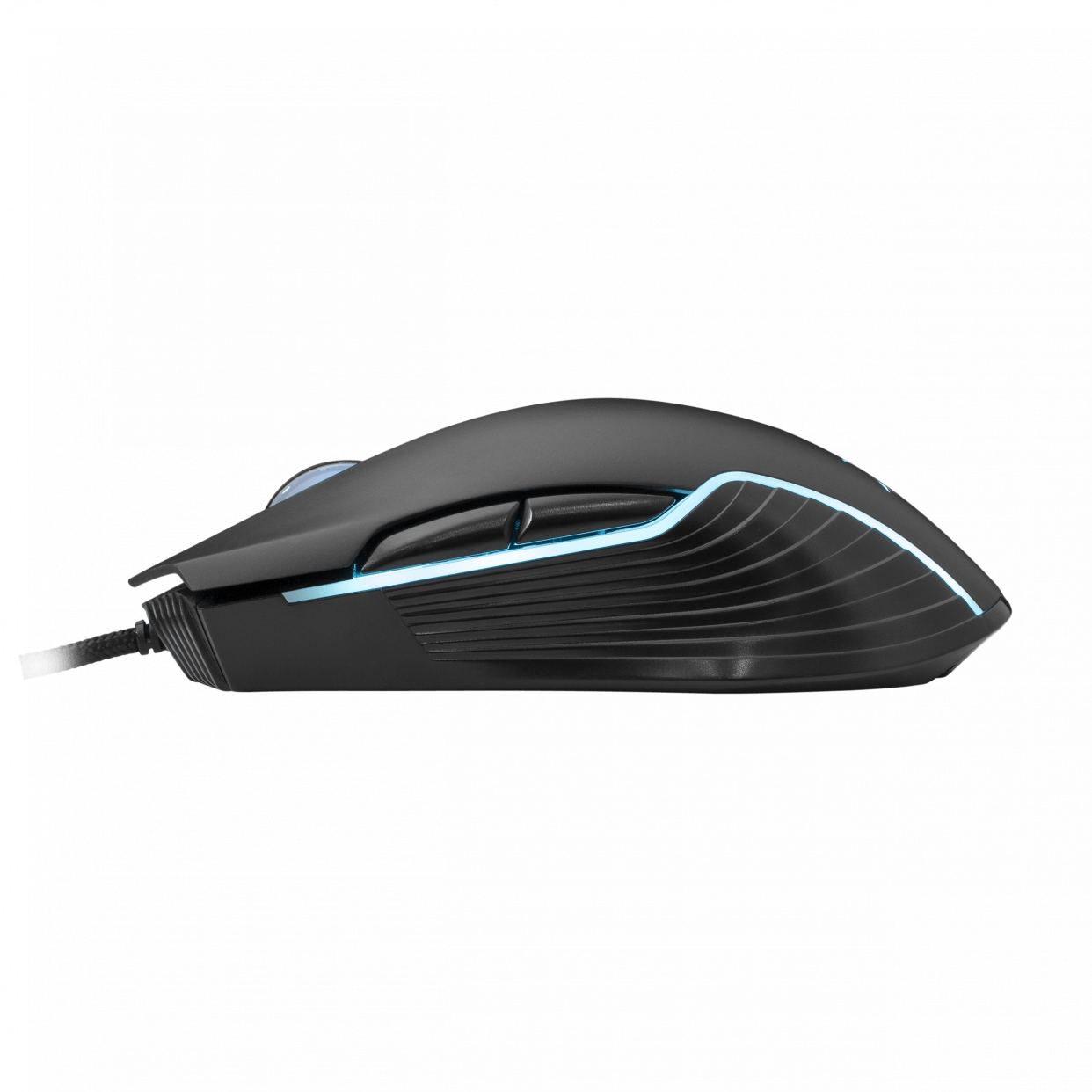 White Shark GM-5003 Gaming Mouse Azarah  Black