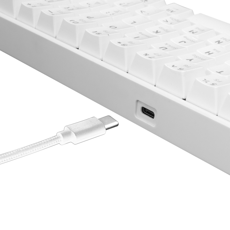 White Shark GK-2022 Shinobi Blue switch, White US