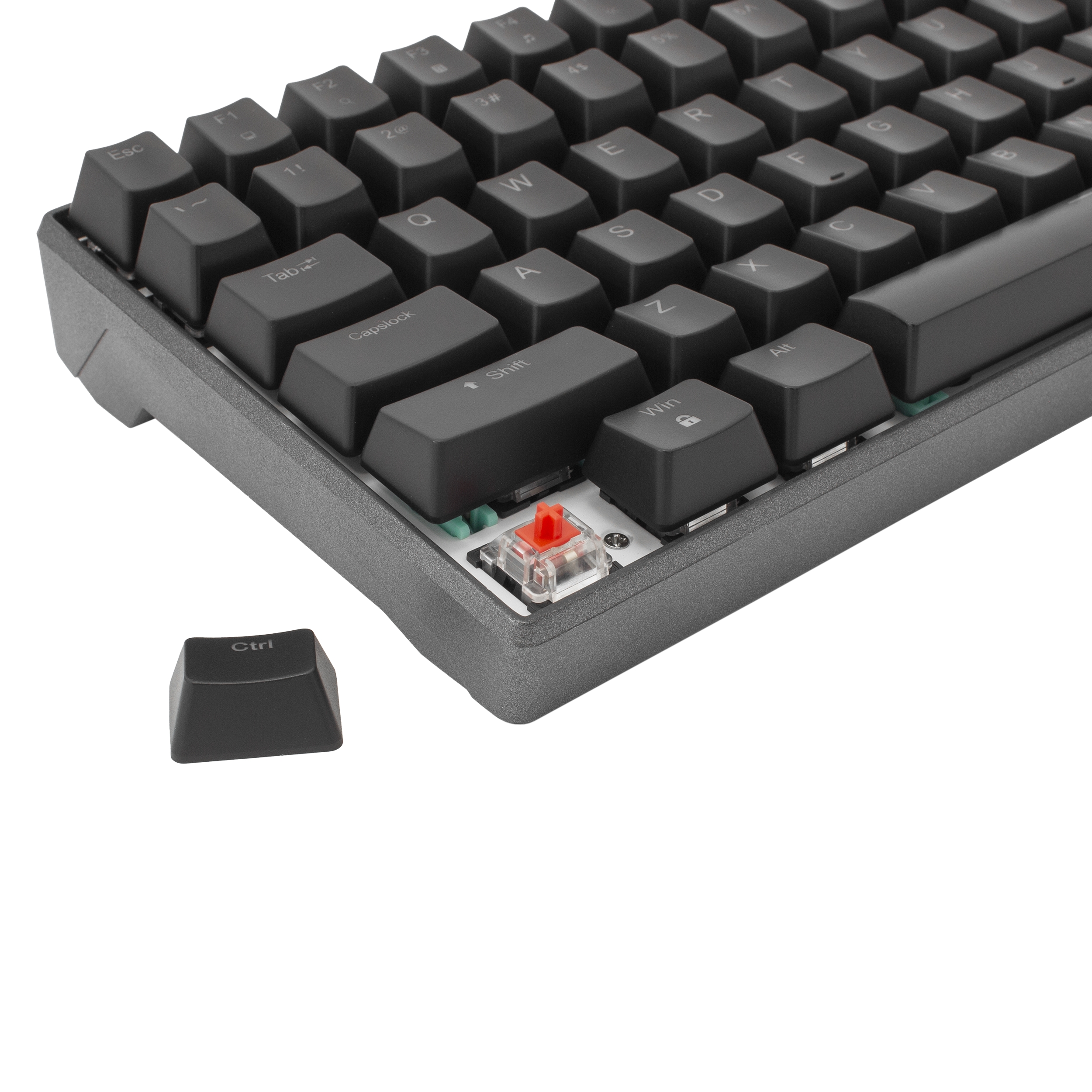 White Shark ESL-K2 Premium Line  Katana US