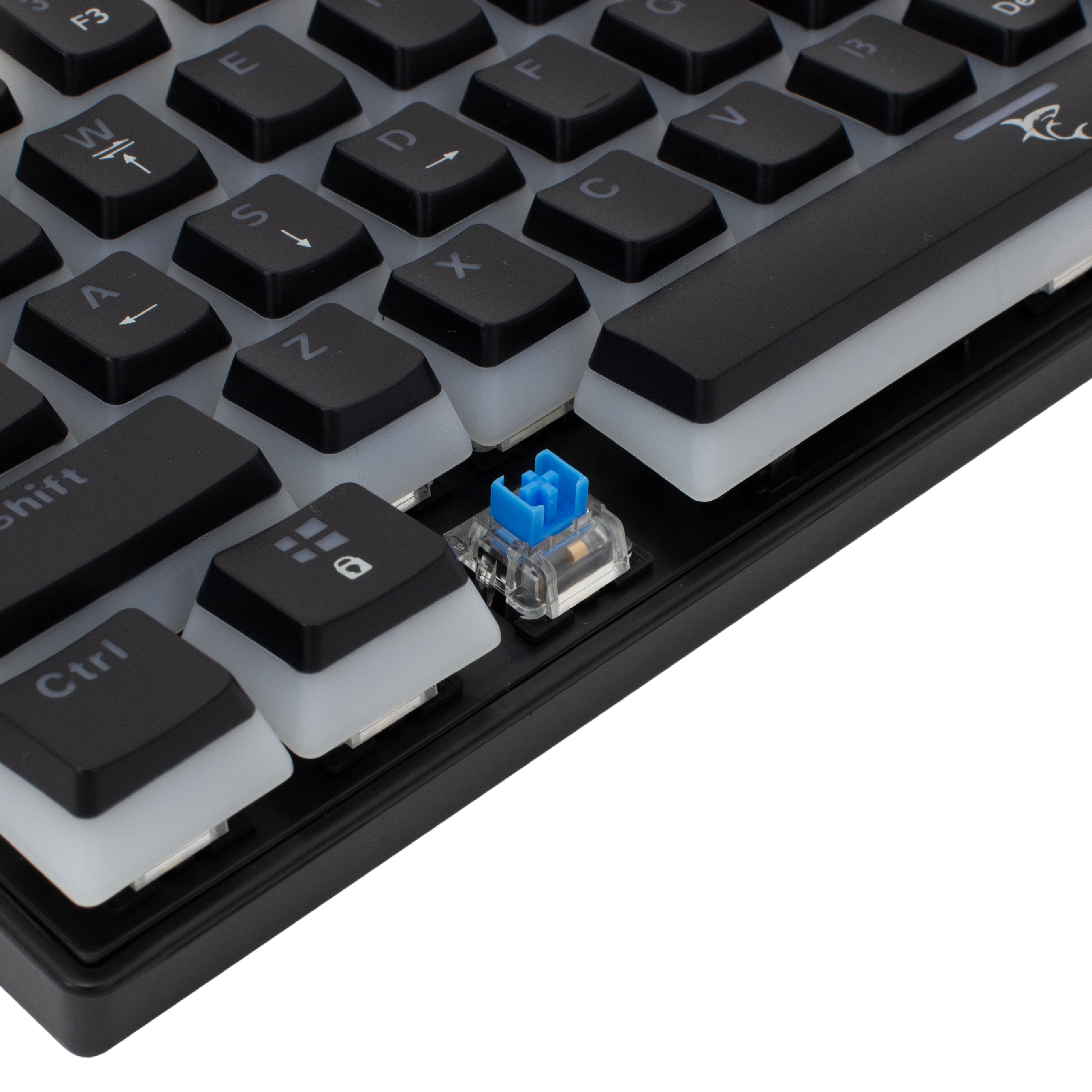 White Shark GK-2202 Ashiko Black/Blue US