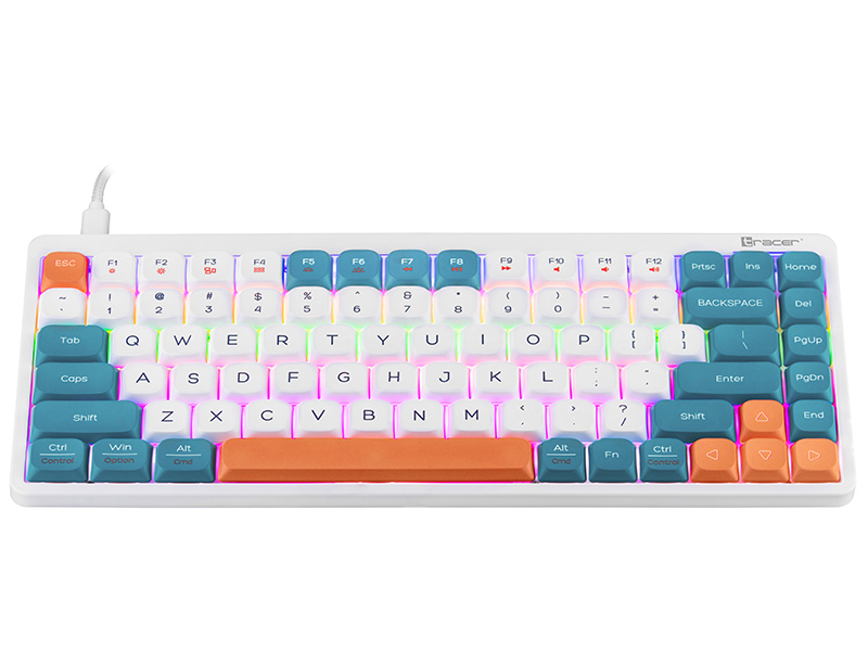Tracer 47309 FINA 84 White/Blue (Outemu Red Switch)