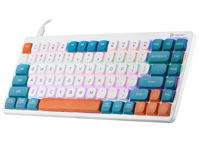 Tracer 47309 FINA 84 White/Blue (Outemu Red Switch)