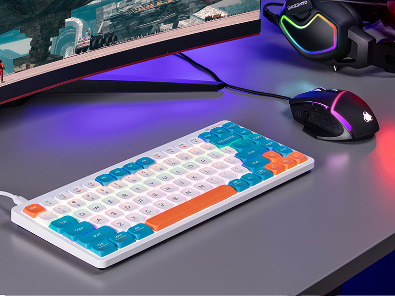 Tracer 47309 FINA 84 White/Blue (Outemu Red Switch)