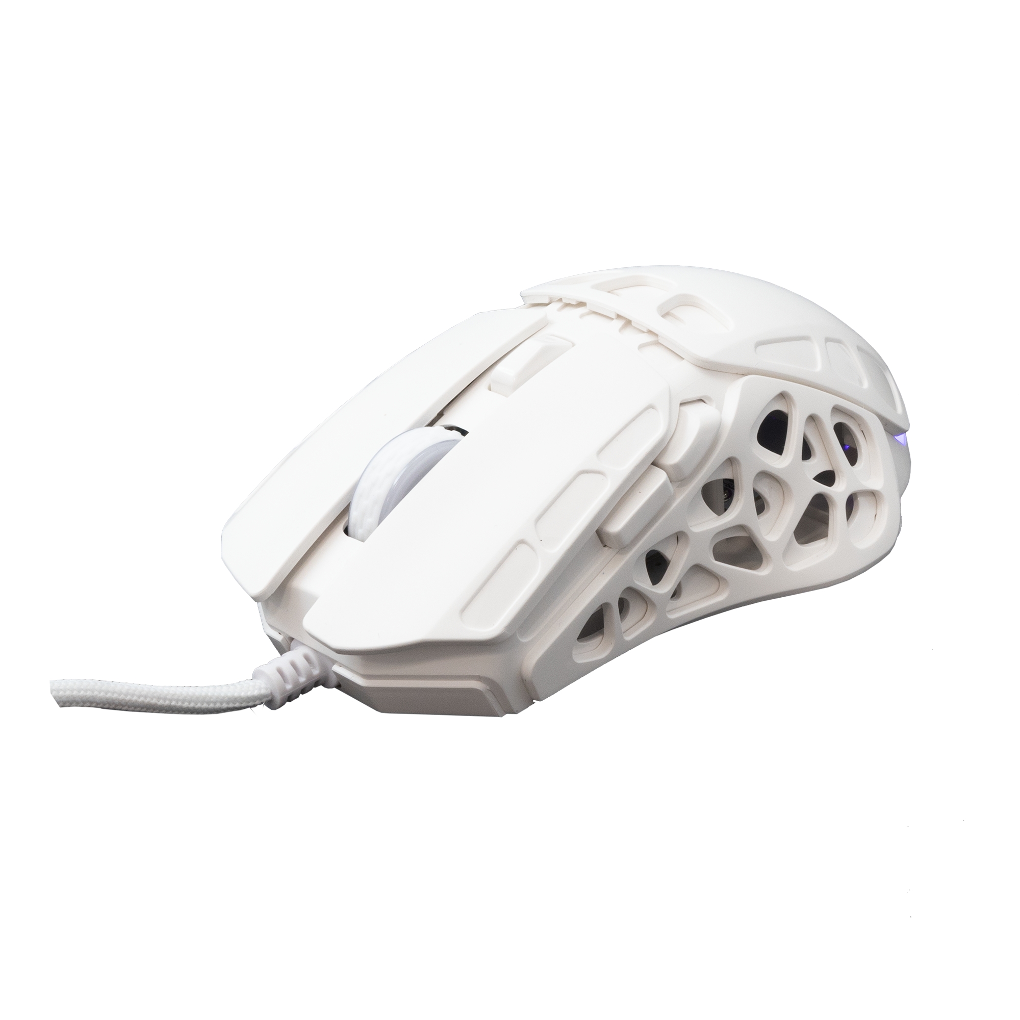 White Shark GM-5016 Ector White