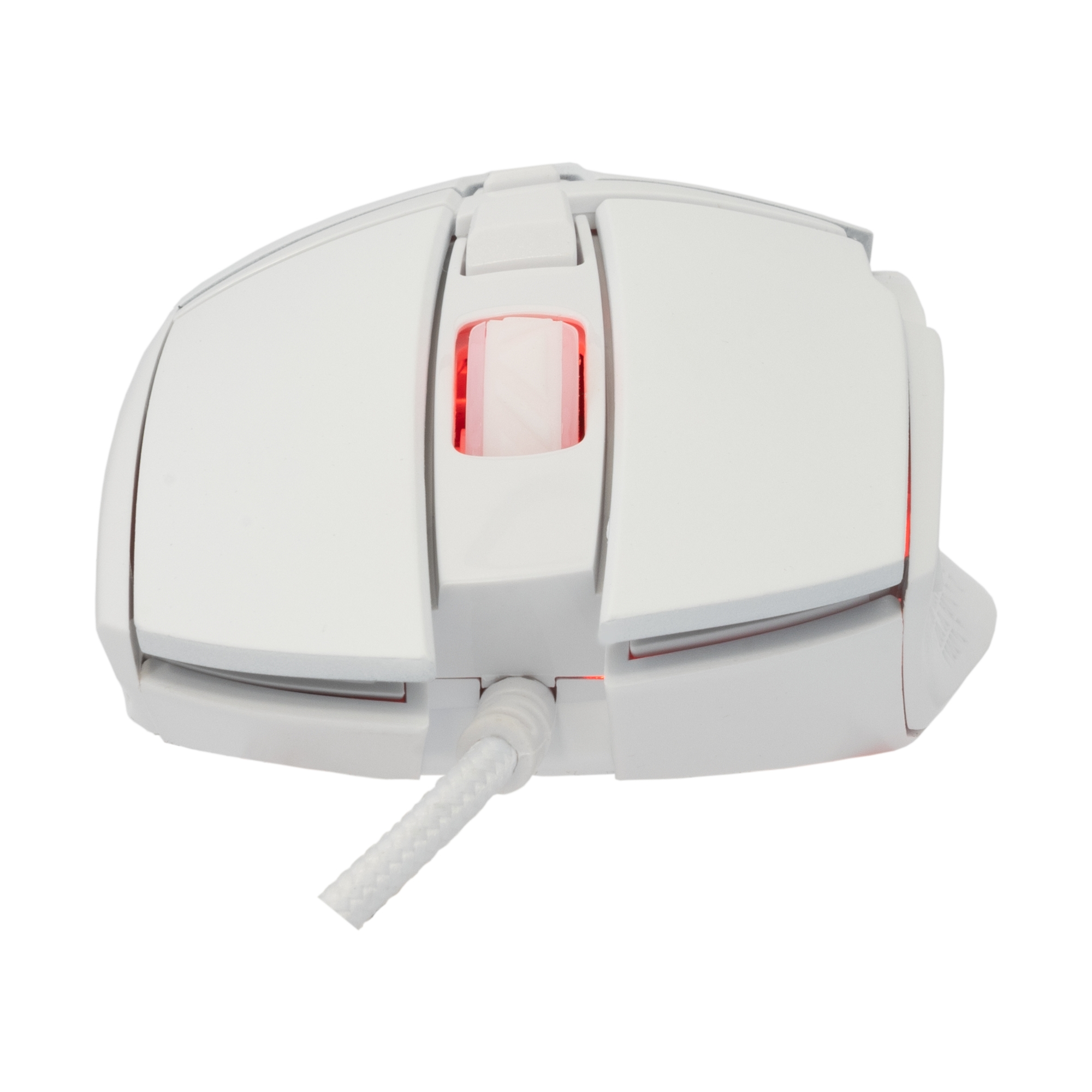 Baracuda BGM-051 Raptor White
