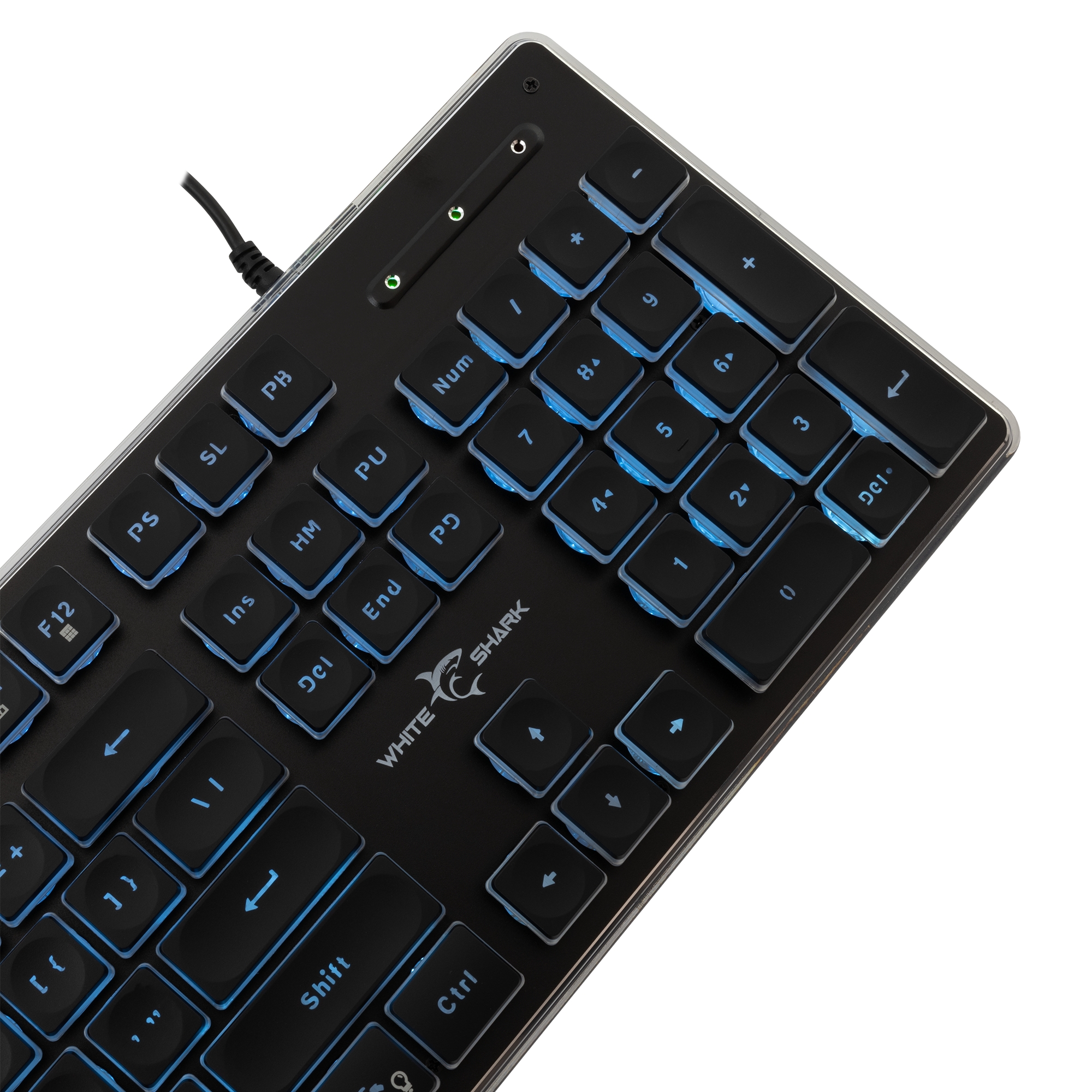 White Shark GK-003141 Tachi Black US
