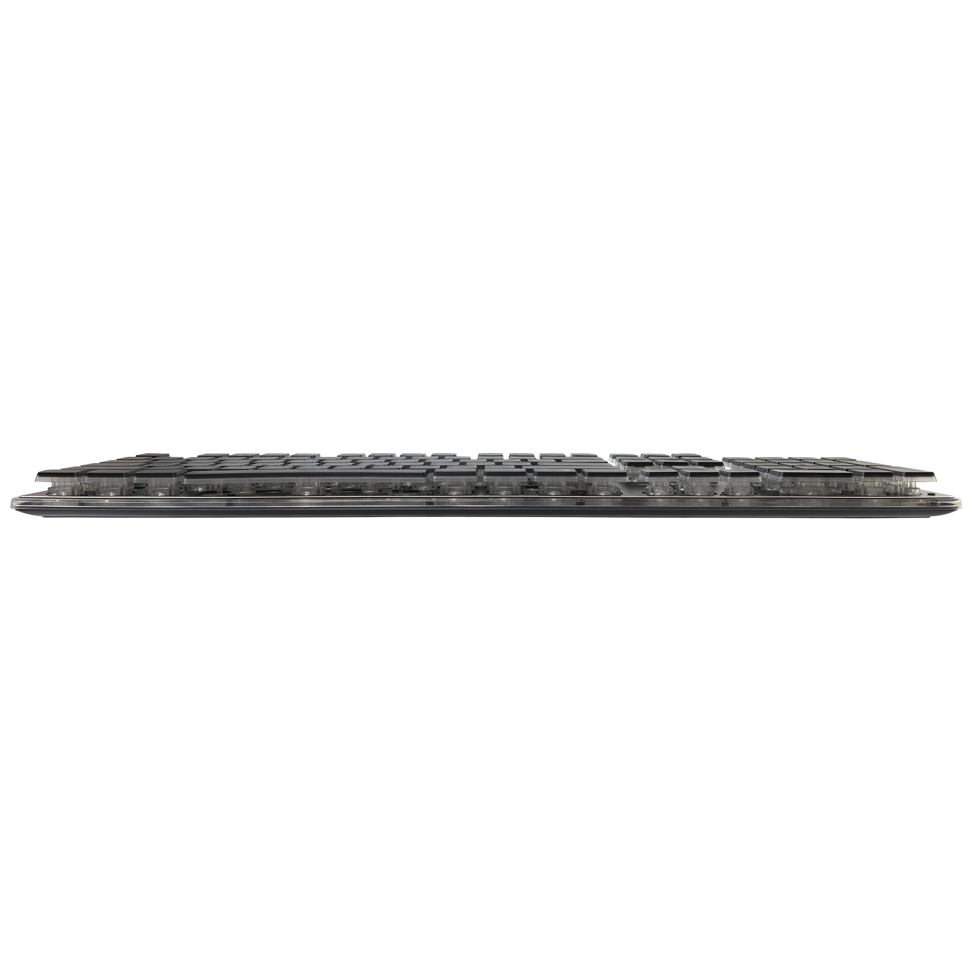 White Shark GK-003141 Tachi Black US