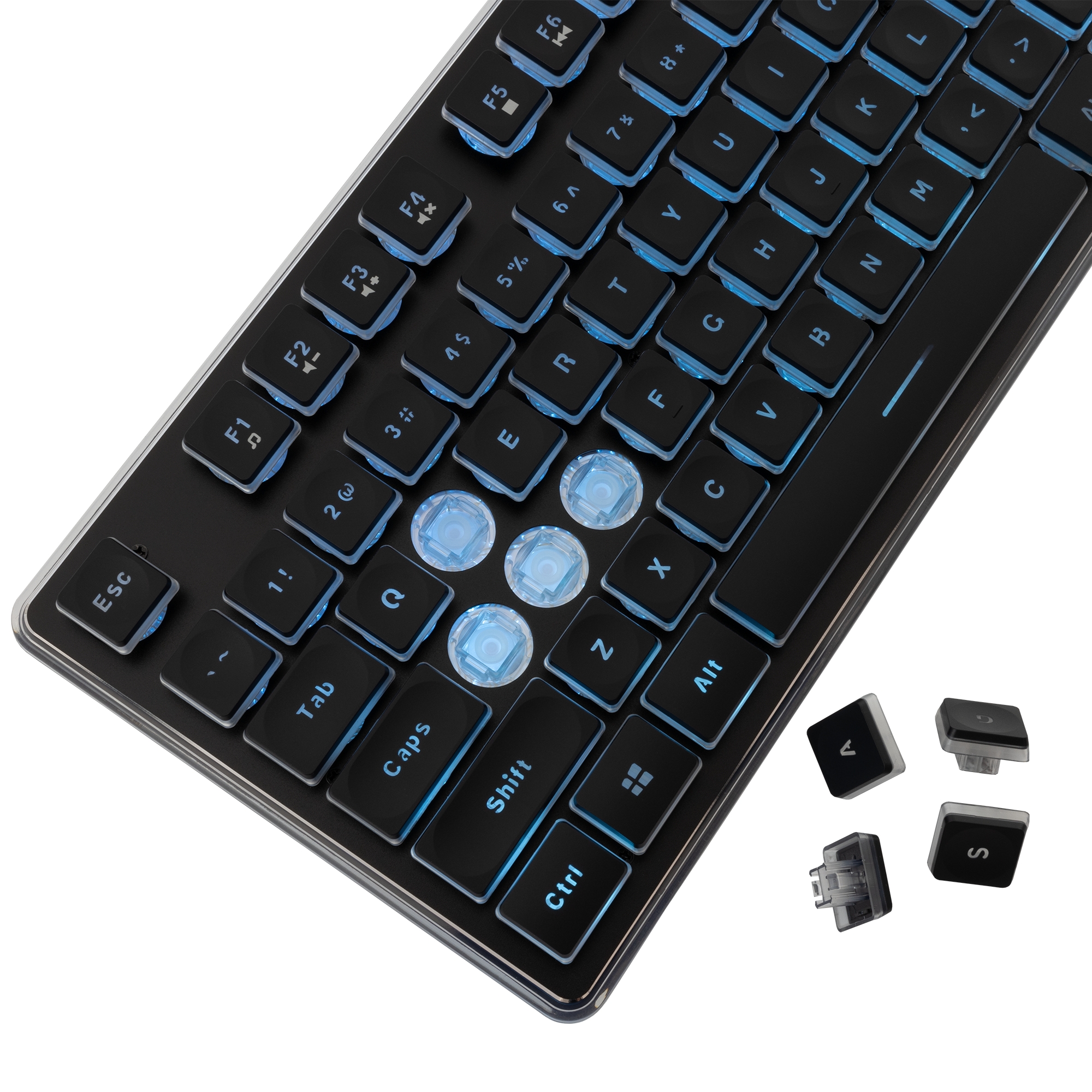 White Shark GK-003141 Tachi Black US