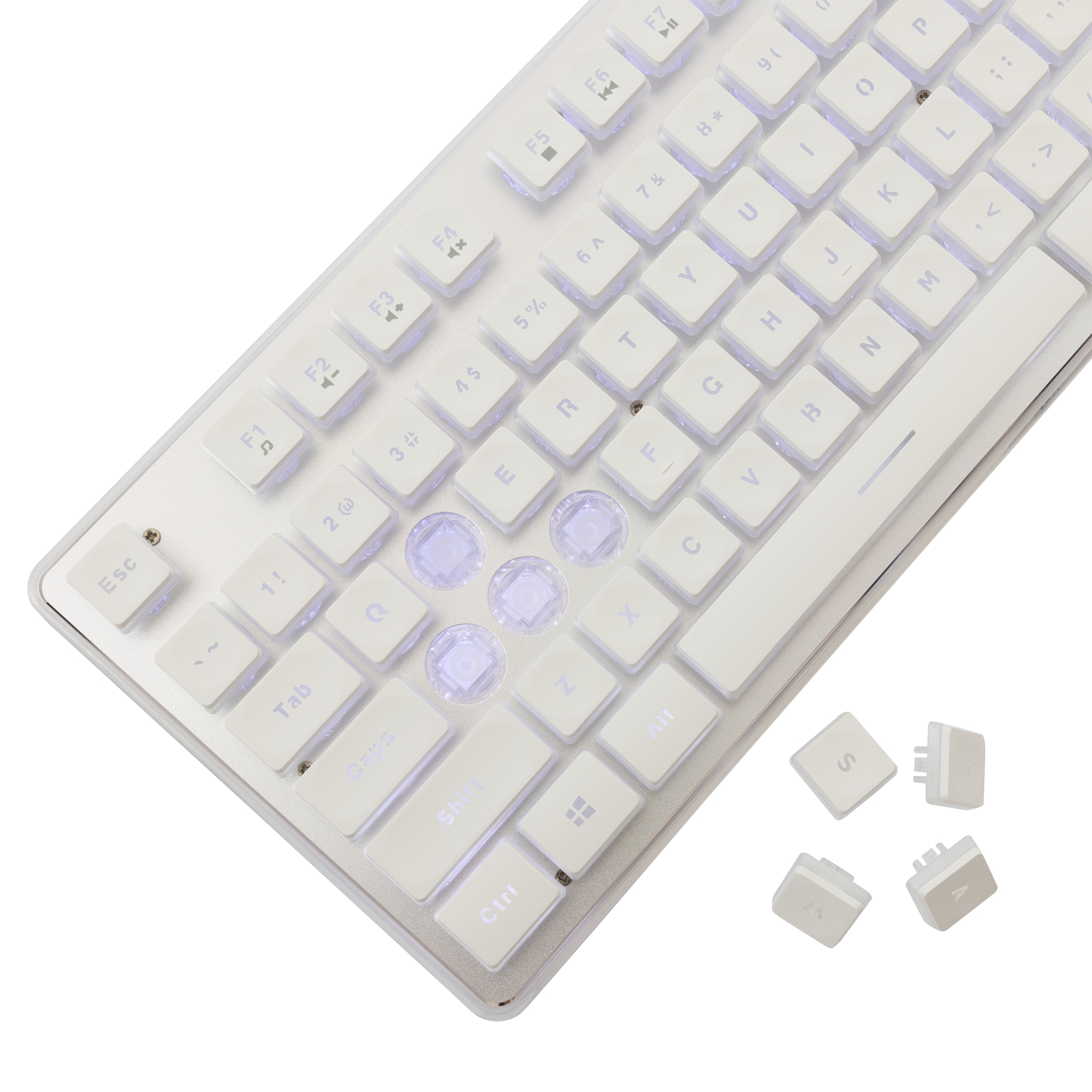 White Shark GK-003241 Tachi White US