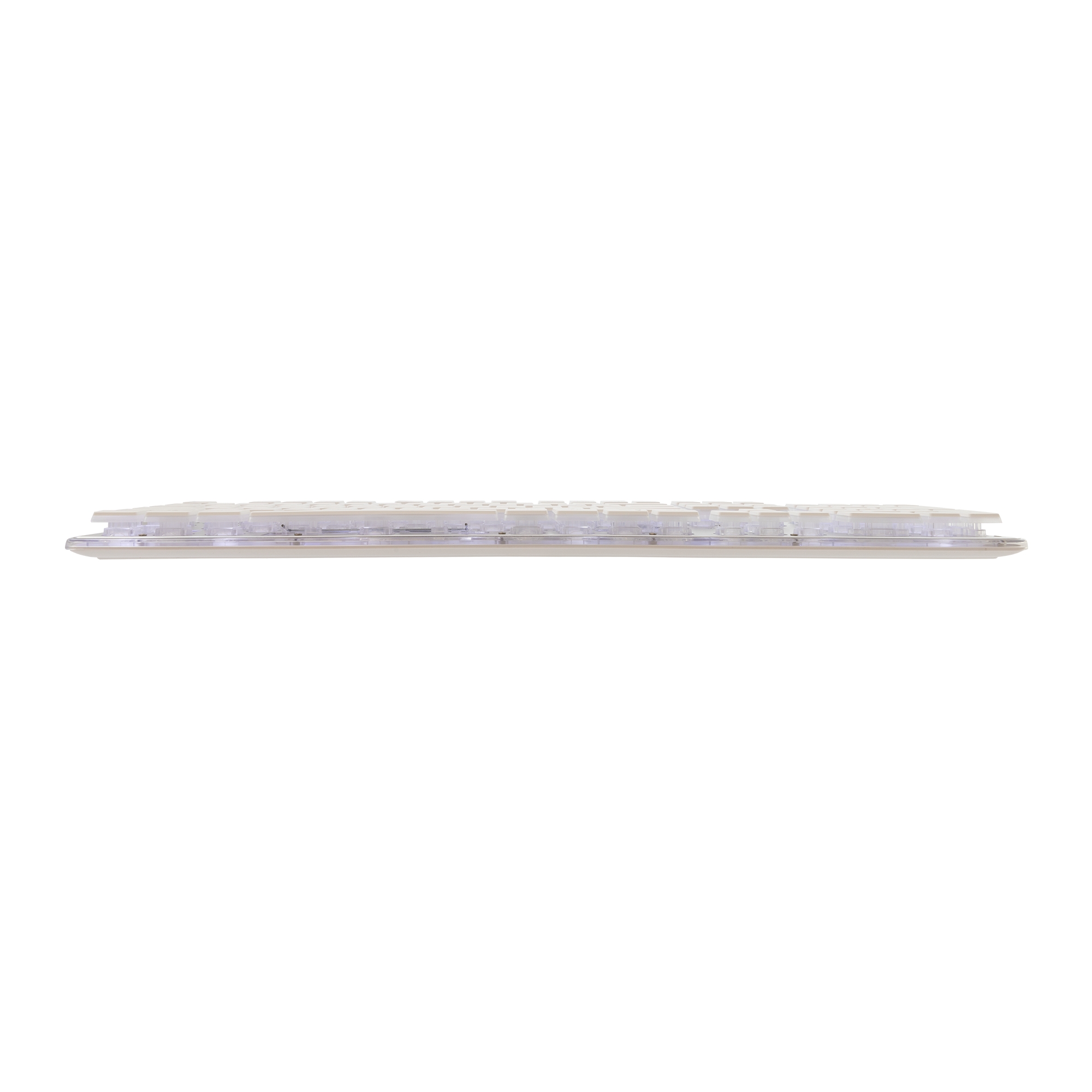 White Shark GK-003241 Tachi White US