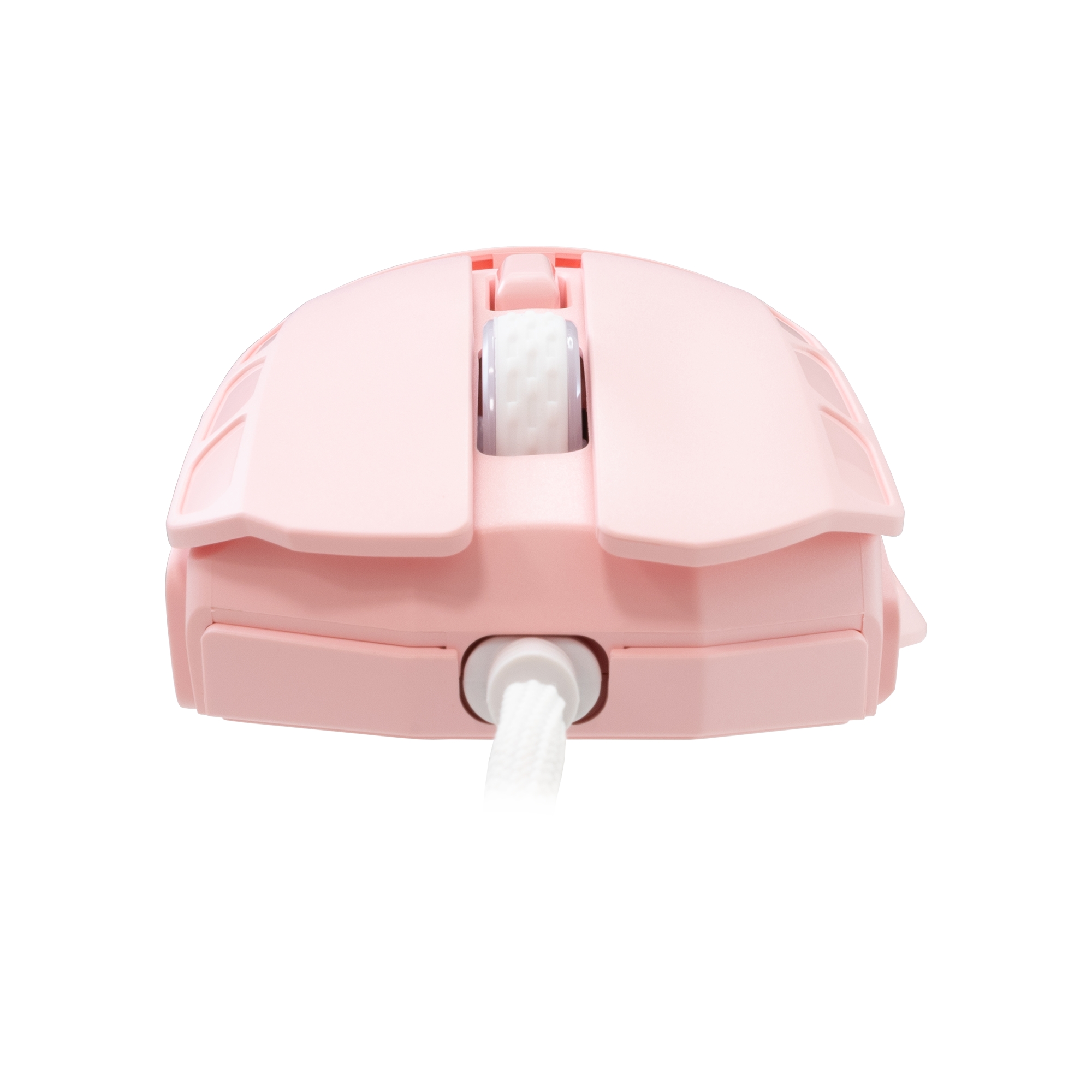 White Shark GM-5016 Ector Pink