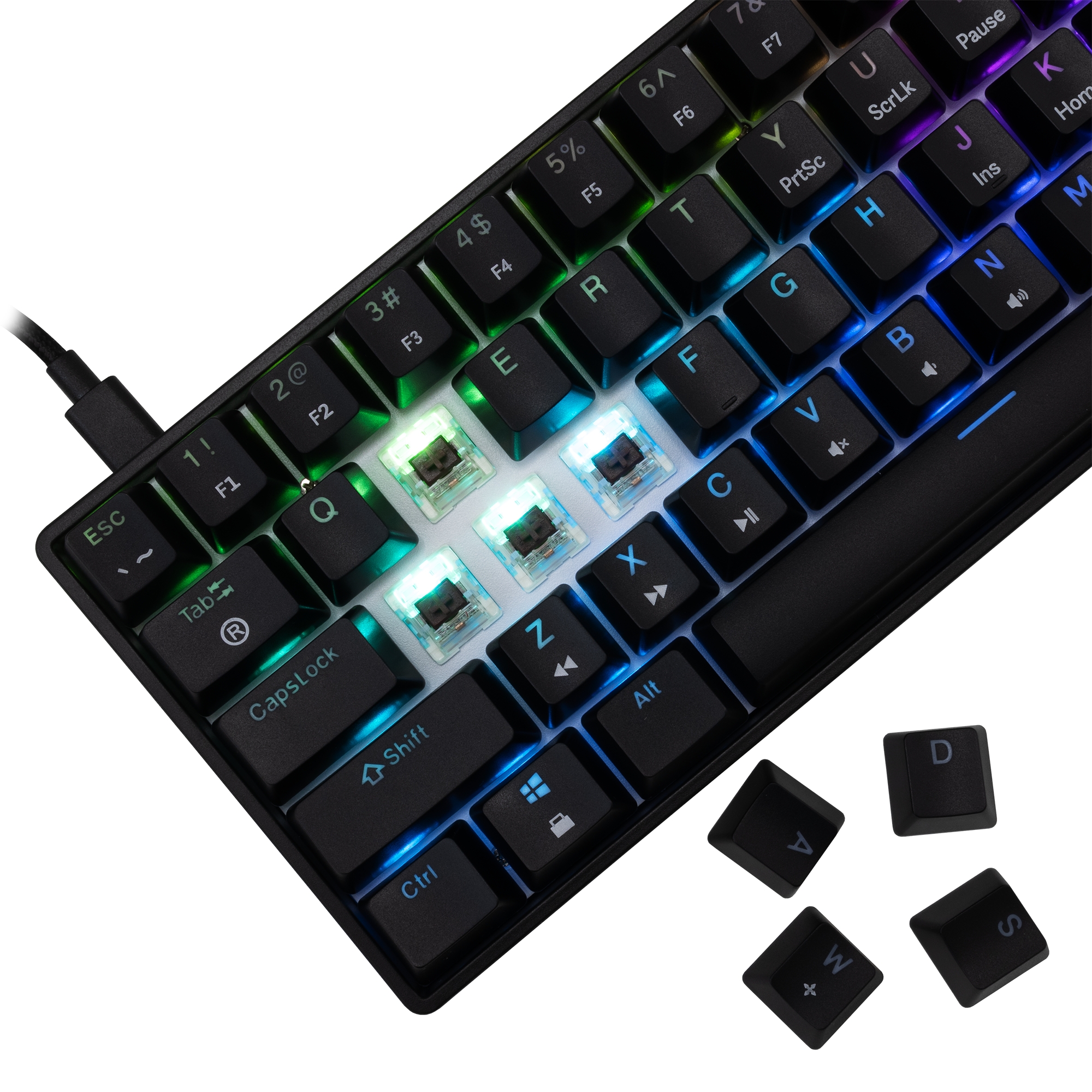 White Shark GK-004131 Shinobi-2 Brown switch, Black US