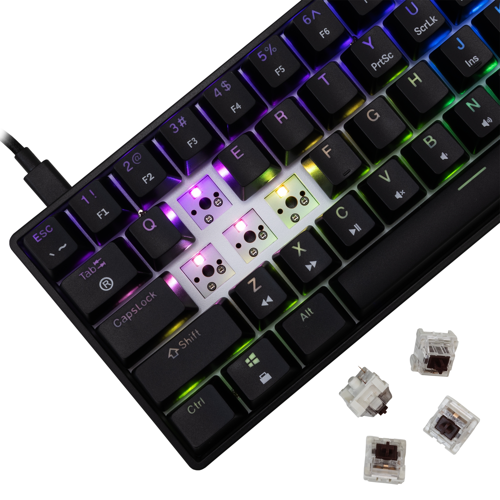 White Shark GK-004131 Shinobi-2 Brown switch, Black US