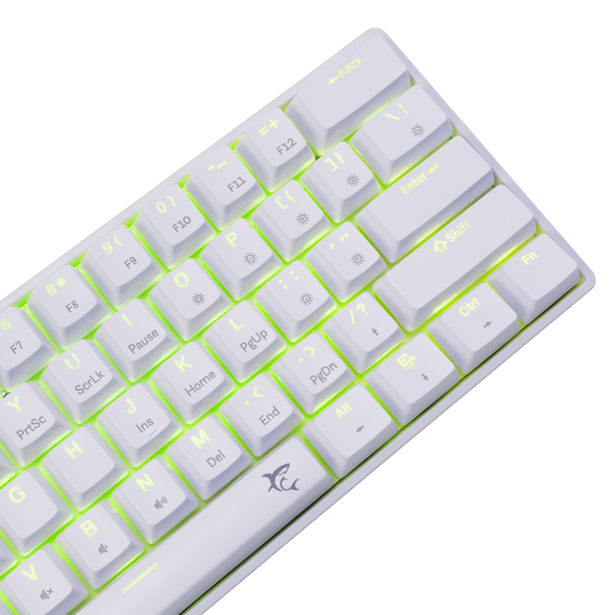 White Shark GK-004221 Shinobi-2  Blue switch, White US