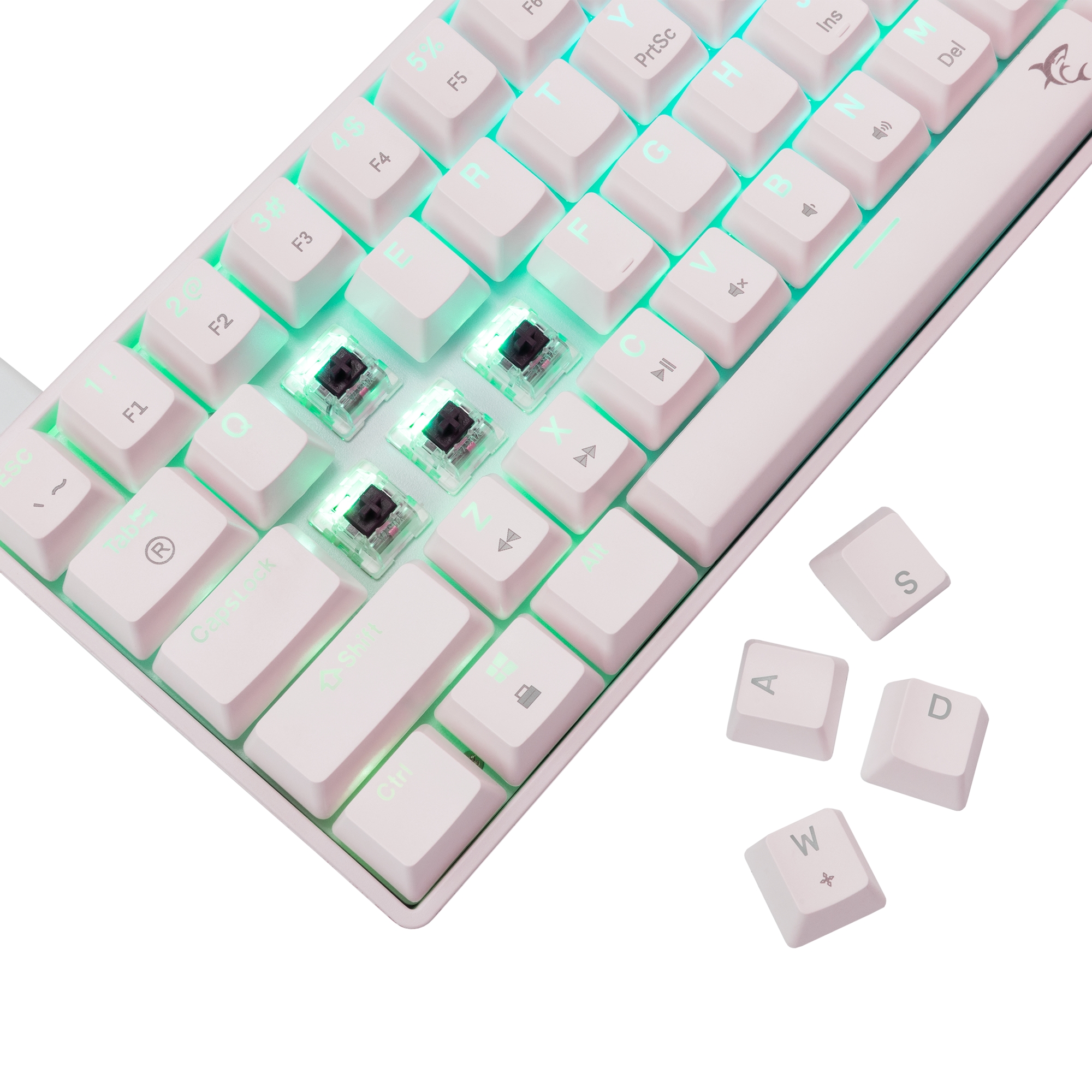White Shark GK-004231 Shinobi-2 Brown Switch, White US