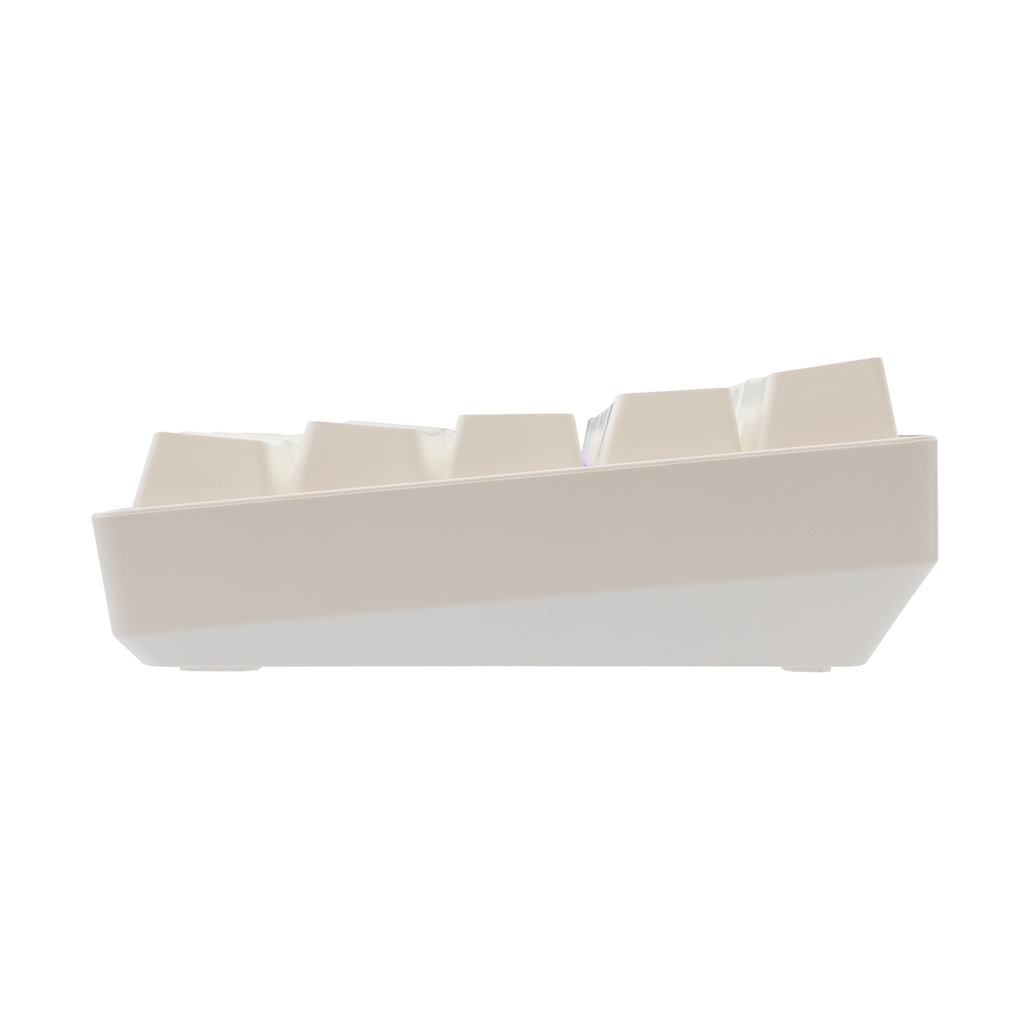 White Shark GK-004231 Shinobi-2 Brown Switch, White US
