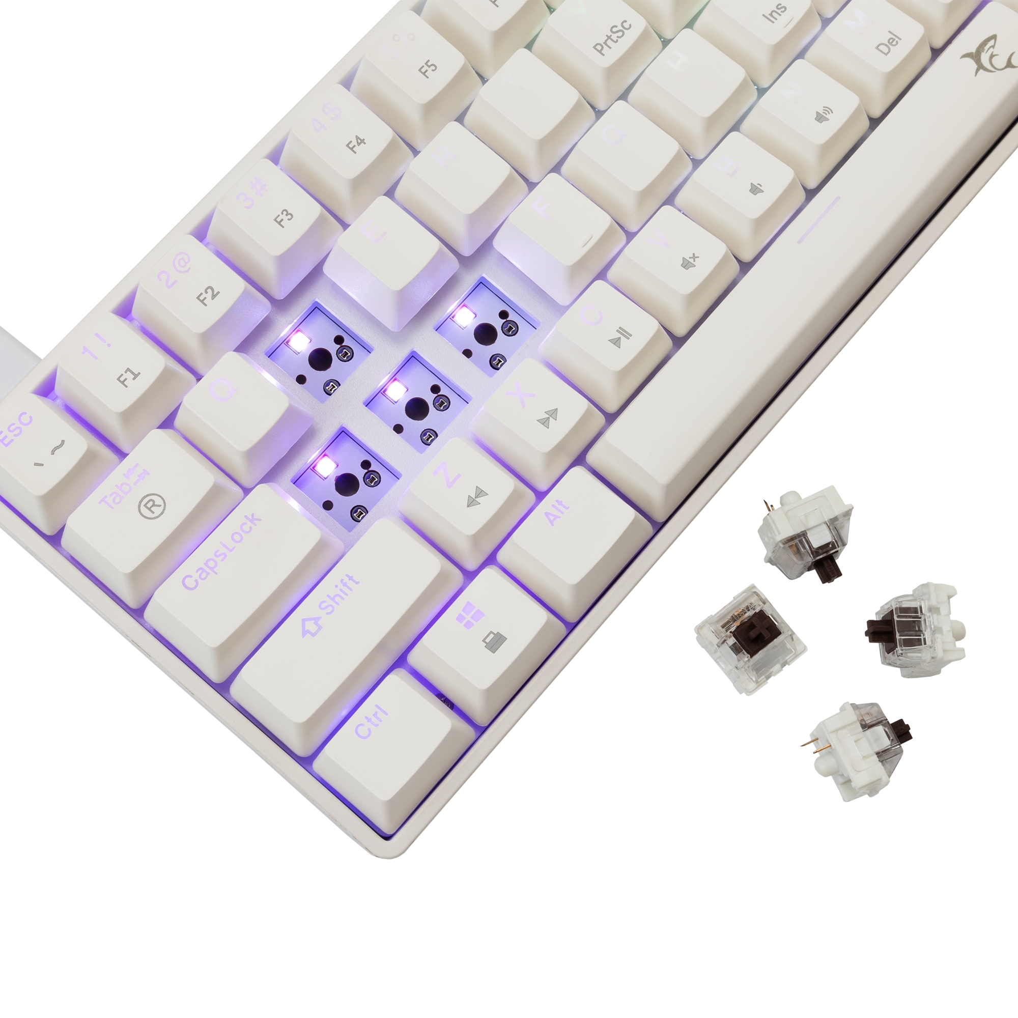 White Shark GK-004231 Shinobi-2 Brown Switch, White US