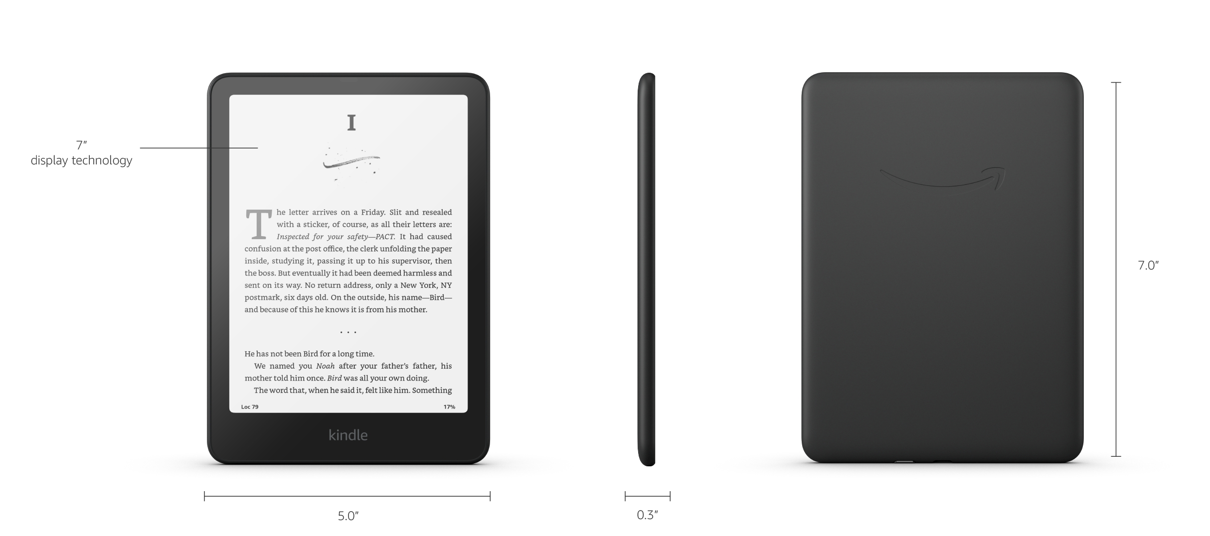 Amazon Kindle Paperwhite 12th Gen 16GB Wi-Fi Raspberry (2024)