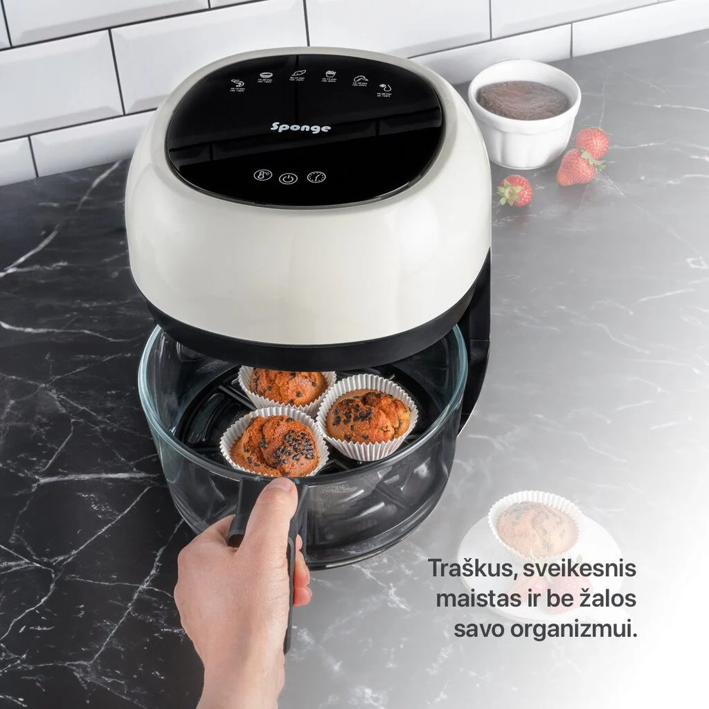 Sponge Air Fryer Glass 4L Damaged Box