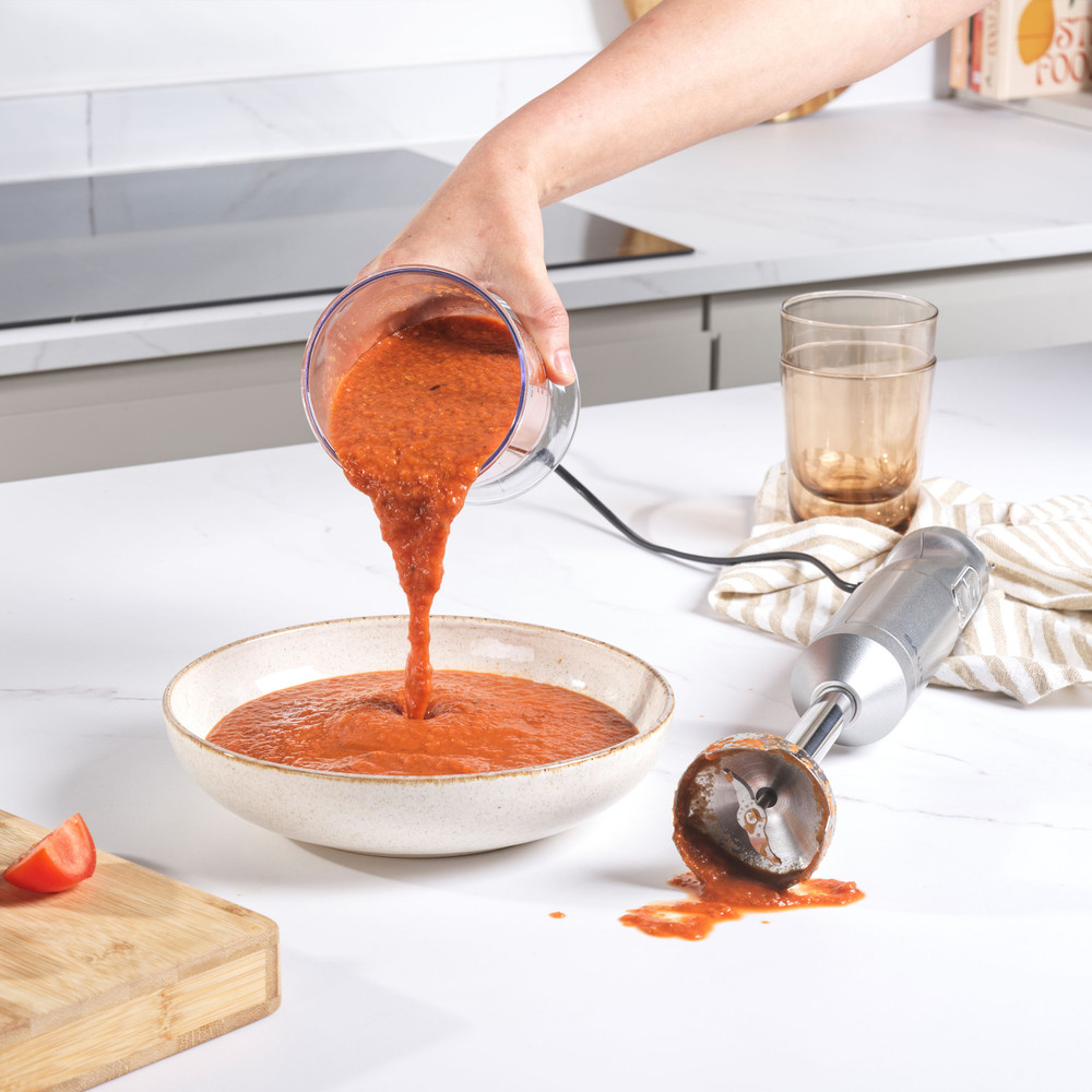 Salter EK4587MMSVDE Aspen Blend and Whisk Pro