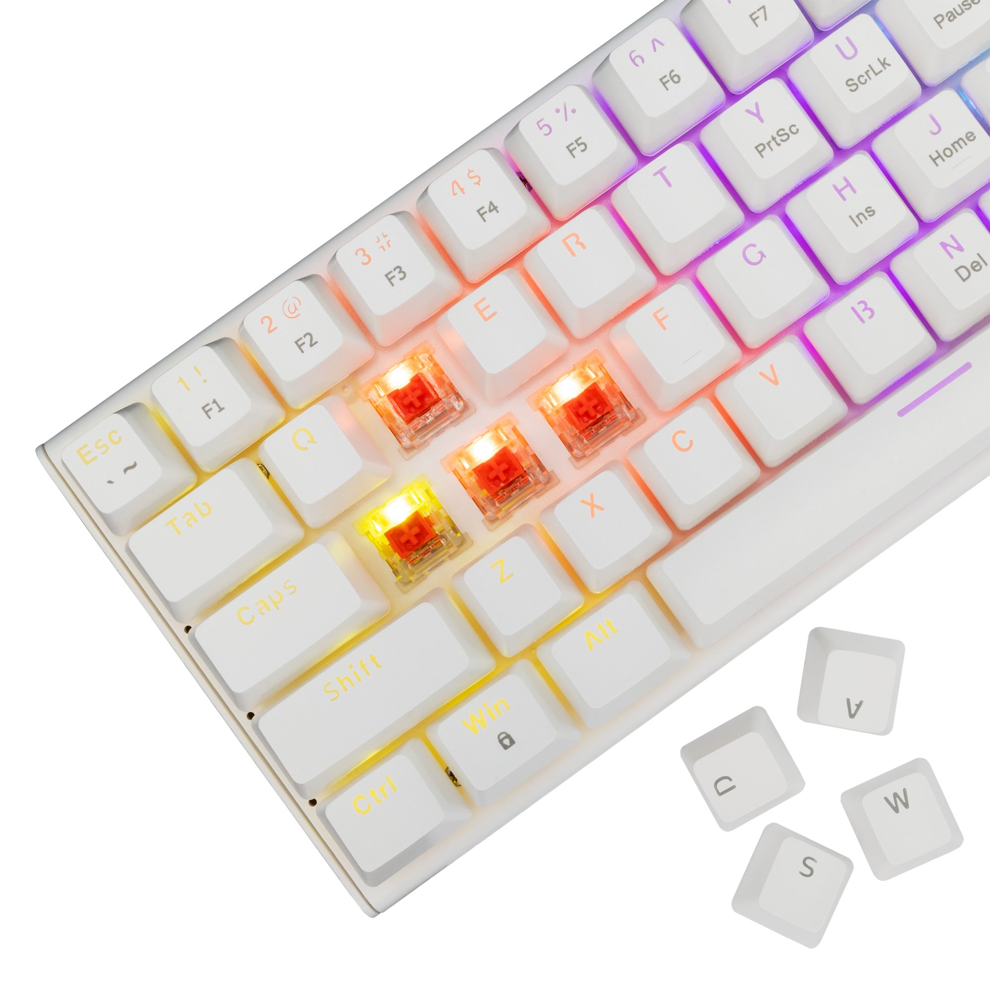 White Shark GK-002211V2  Wakizashi 2 White US Red Switches