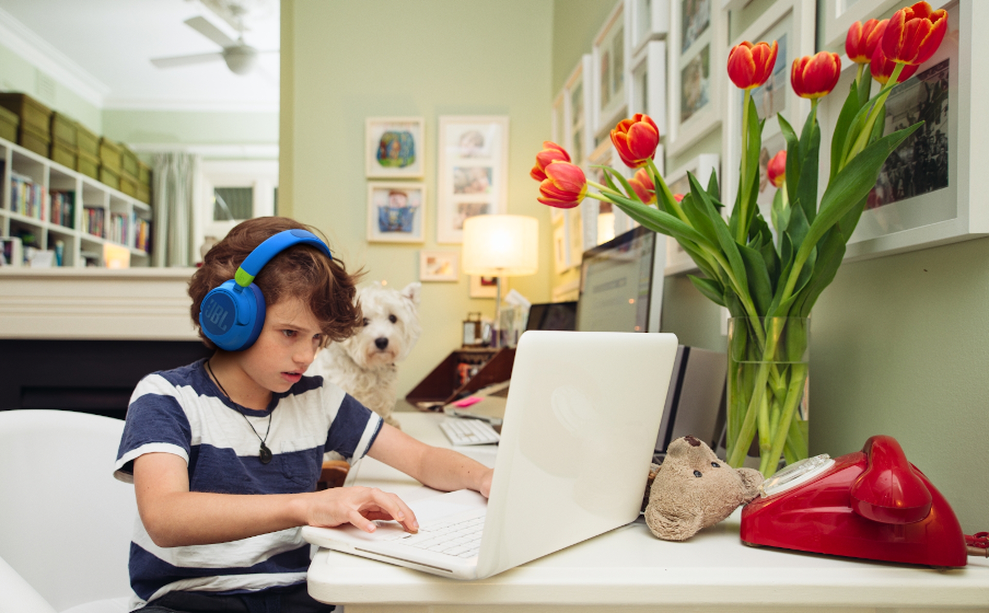 JBL JR460NC Blue