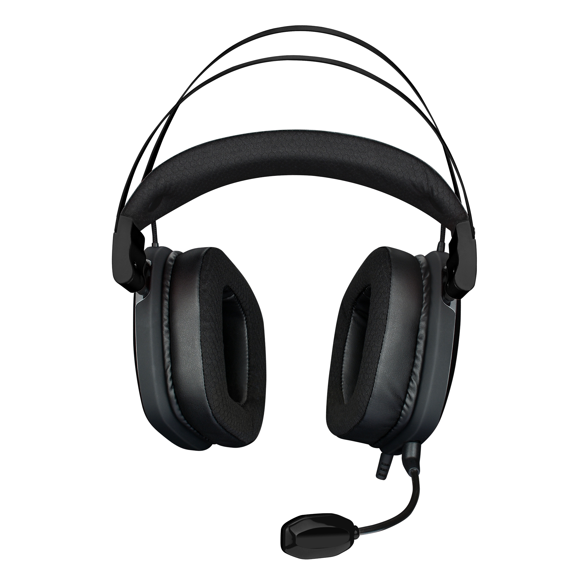 White Shark GH-2446 Gottan Black