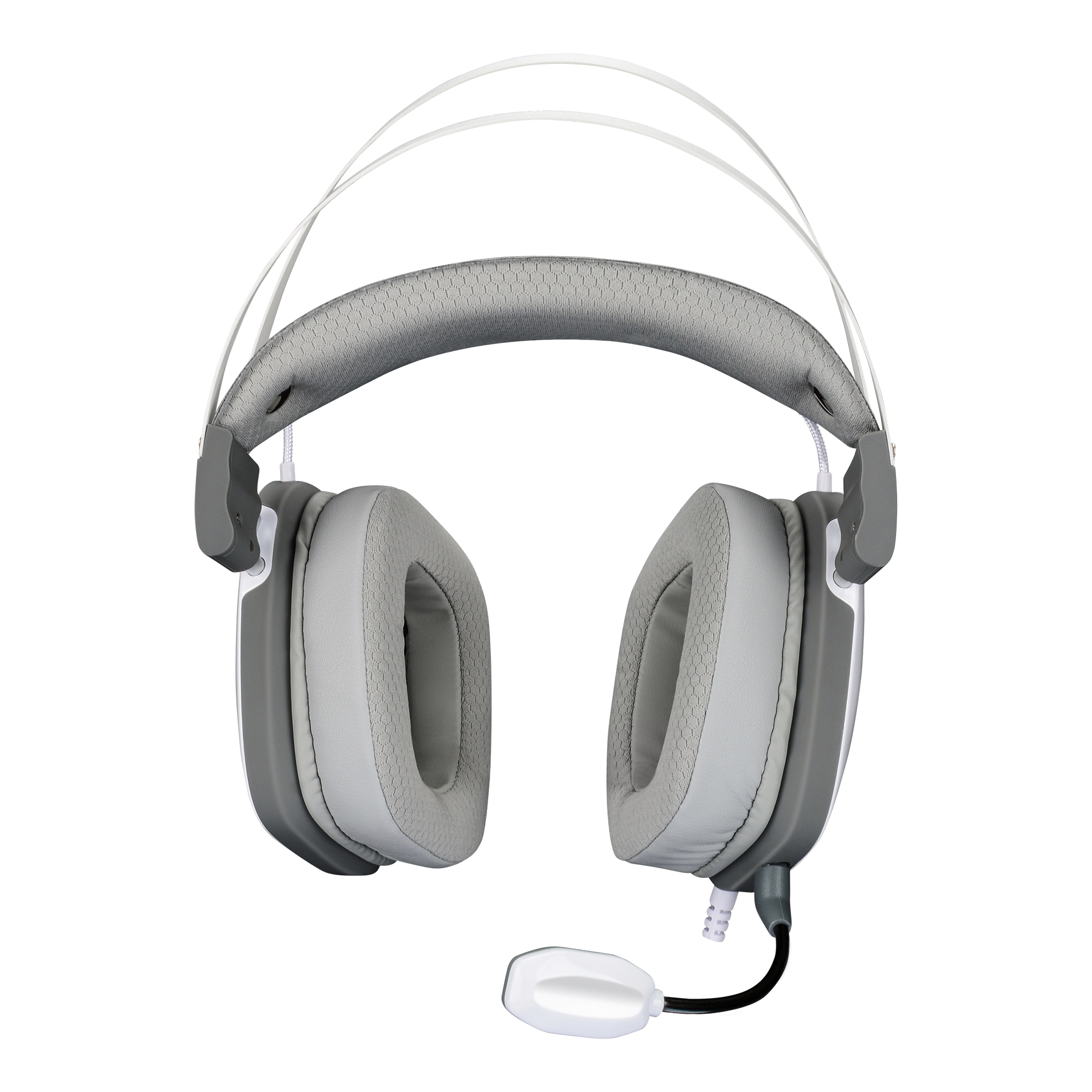 White Shark GH-2446 Gottan White