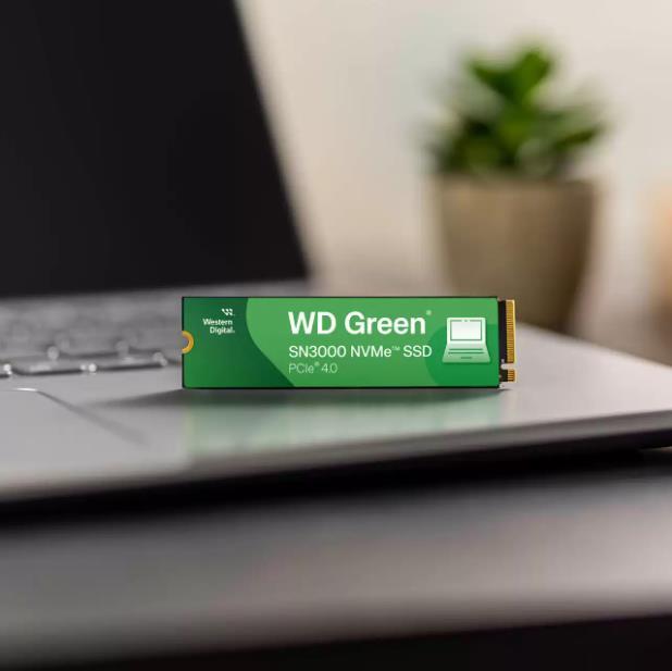 Western Digital WDS100T4G0E 1TB NVMe SSD