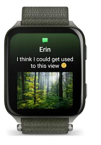 SMARTWATCH VENU X1/MOSS/TITAN 010-02980-03 GARMIN