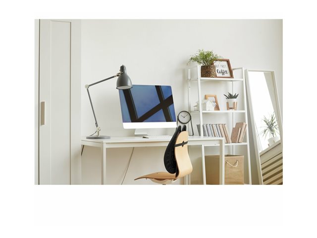 KENSINGTON K60412WW Back Support